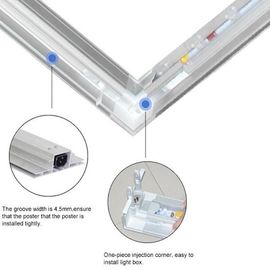자유로운 서 있는 붙박이 고성능 지구 및 운전사를 가진 광고 Backlit LED 가벼운 상자